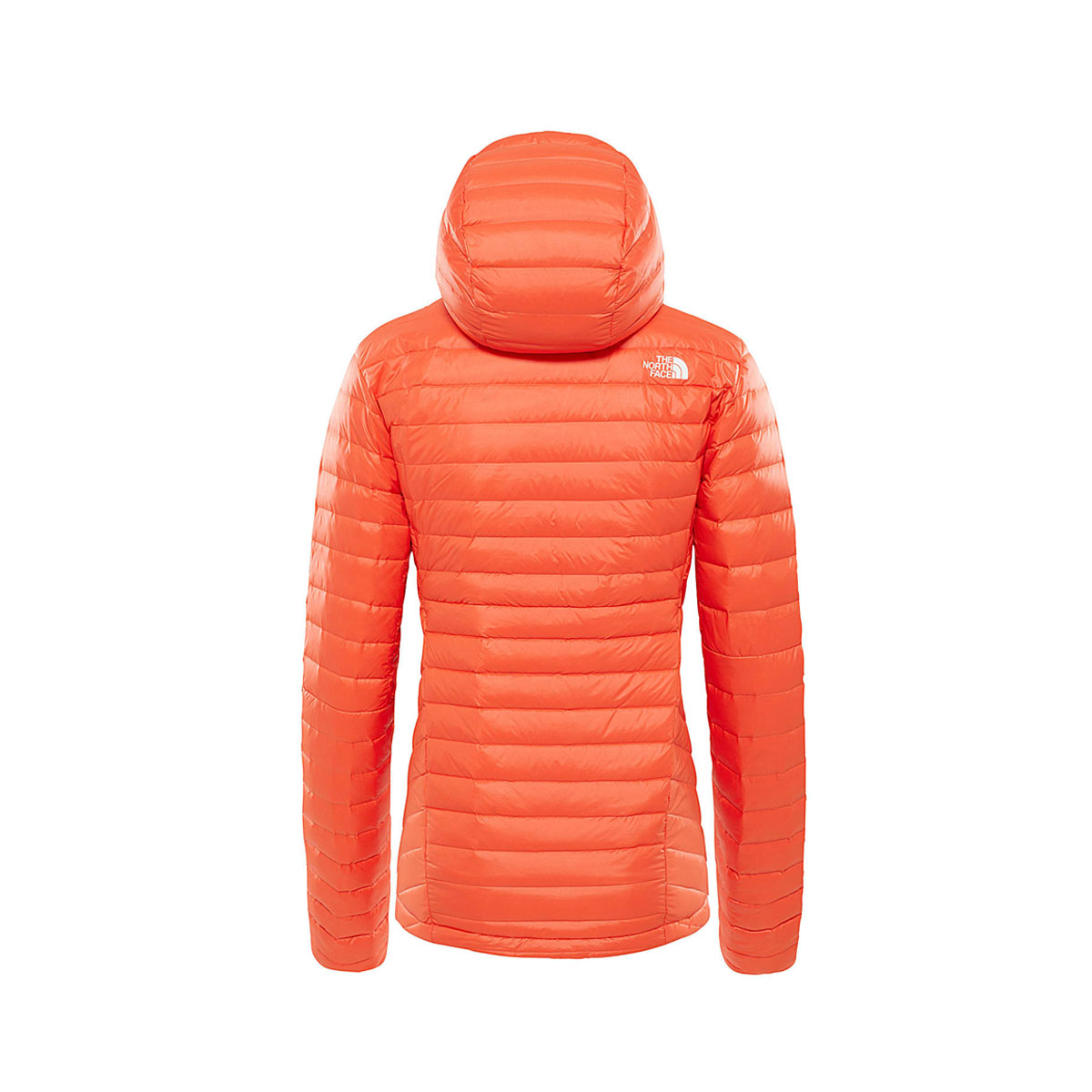 the north face premonition down jacket